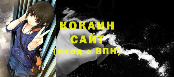 стаф Балахна