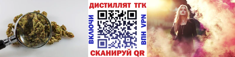 Купить Бологое ТГК концентрат