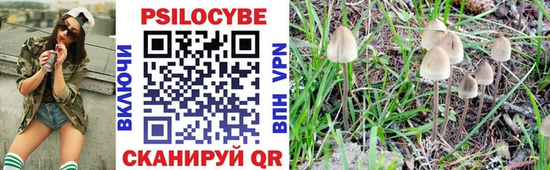 Галлюциногенные грибы ЛСД  Купить  Бологое 