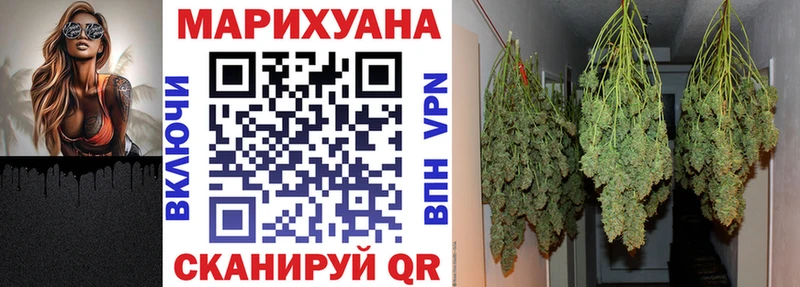 Купить закладки  Бологое  Канабис индика 